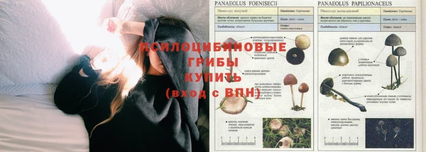 spice Арсеньев