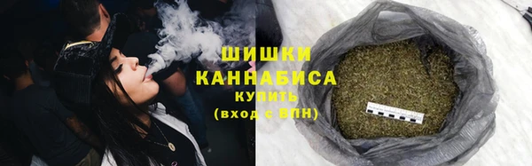 spice Арсеньев