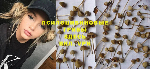 spice Арсеньев